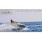 Ocean Karts Tenerife